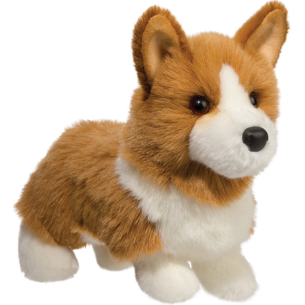 Douglas Louie Corgi