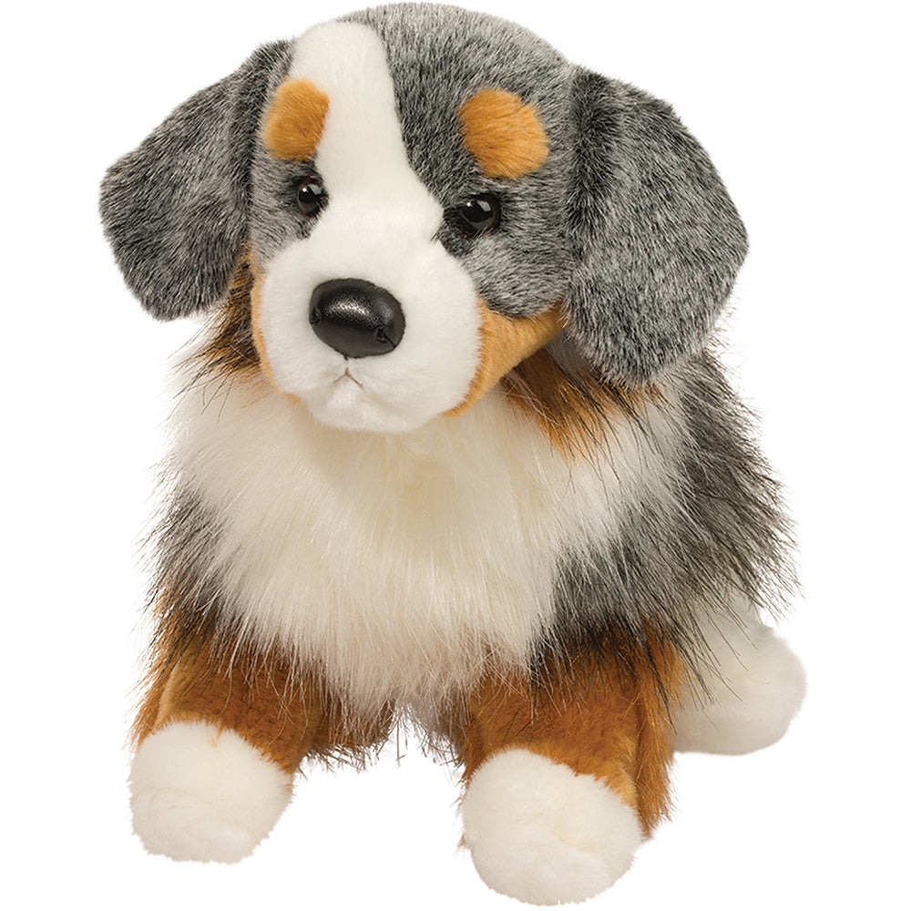 Douglas Sinclair Australian Shepherd