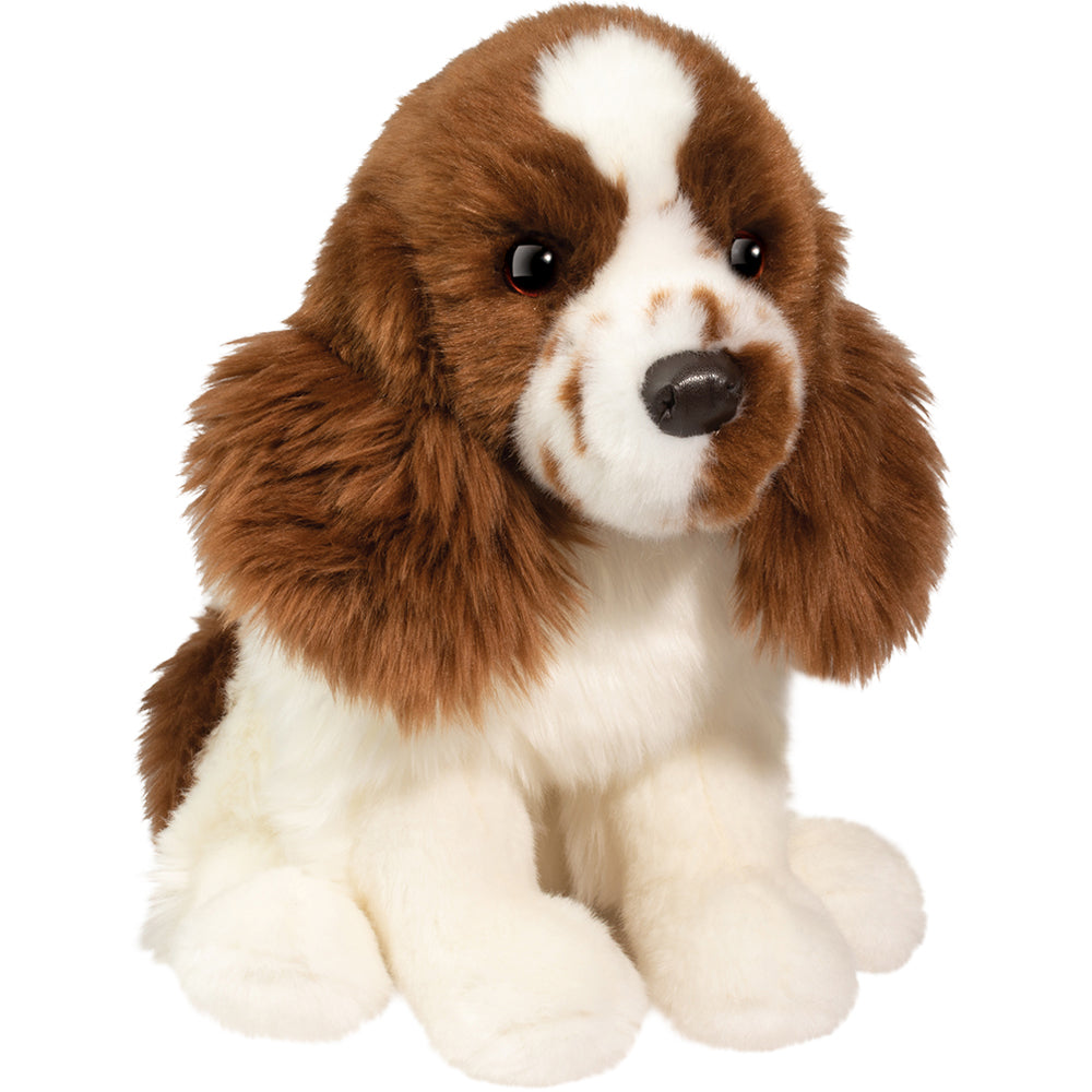 Douglas Chip Springer Spaniel