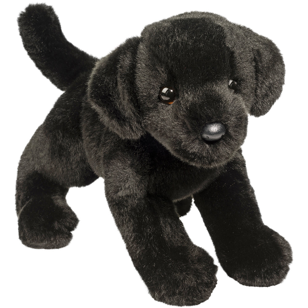 Douglas Brewster Black Lab
