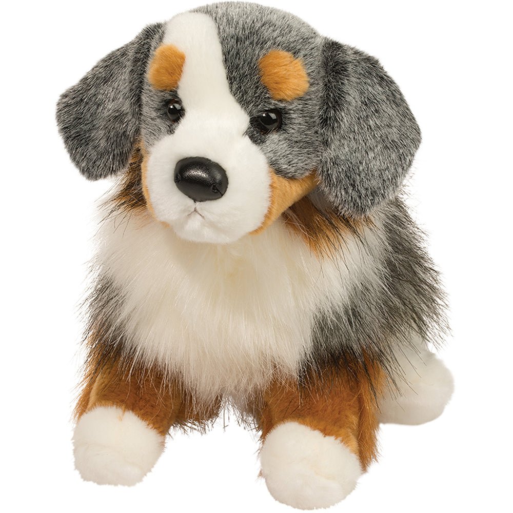 Douglas Sinclair Australian Shepherd