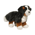 Stevie Bernese Mountain Dog